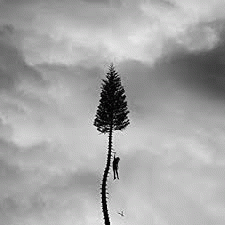Manchester Orchestra : A Black Mile to the Surface